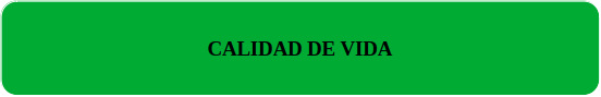 CALIDAD DE VIDA