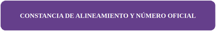 CONSTANCIA DE ALINEAMIENTO