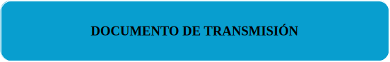 DOCUMENTO DE TRANSMISION