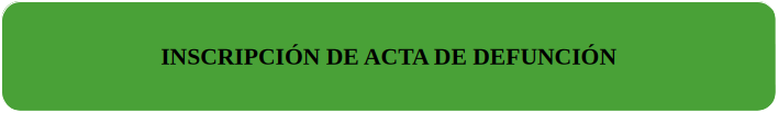 INSCRIPCION ACTA DEFUNCION