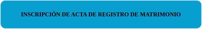 INSCRIPCION ACTA REGISTRO MATRIMONIO