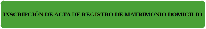 INSCRIPCION ACTA REGISTRO MATRIMONIO DOM
