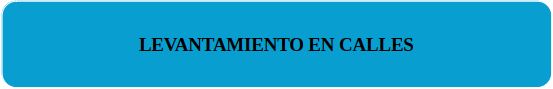 LEVANTAMIENTO EN CALLES