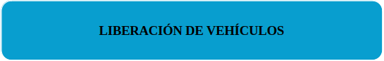 LIBERACION DE VEHICULOS
