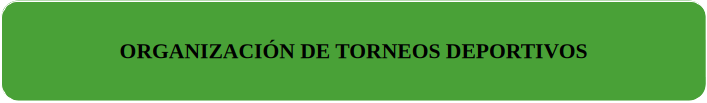 ORGANIZACION TORNEOS DEPORTIVOS
