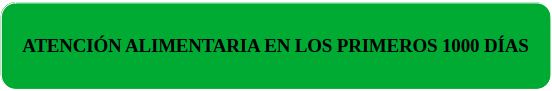 PRIMEROS 1000 DIAS