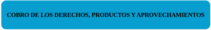 PRODUCTOS Y APROVECHAMIENTOS