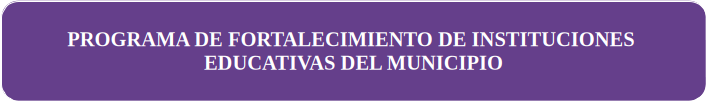 PROGRAMA FORTALECIMIENTO INSTITUCIONES